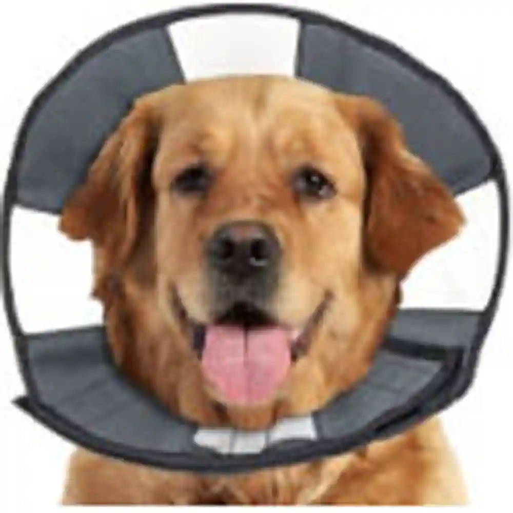 Zenpet Soft Recovery Collar XL