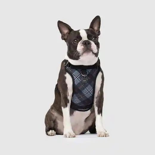 The Everything Harness In Plaid Small