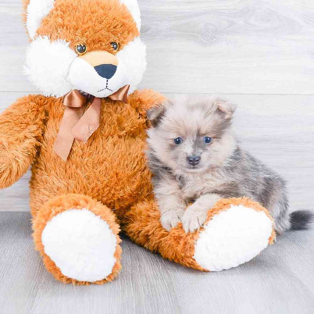 18bdd64f-c6bd-4a03-bb85-e537f09fc28d.jpg