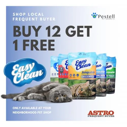 Promotion Image