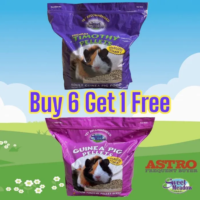 Promotion Image