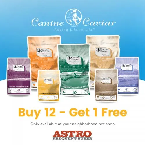 Promotion Image