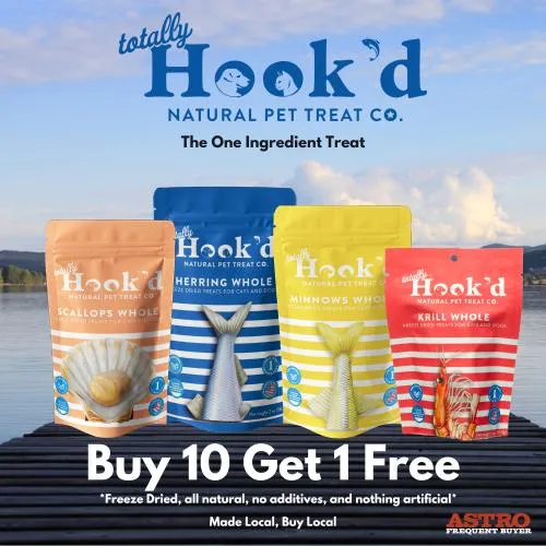 Promotion Image