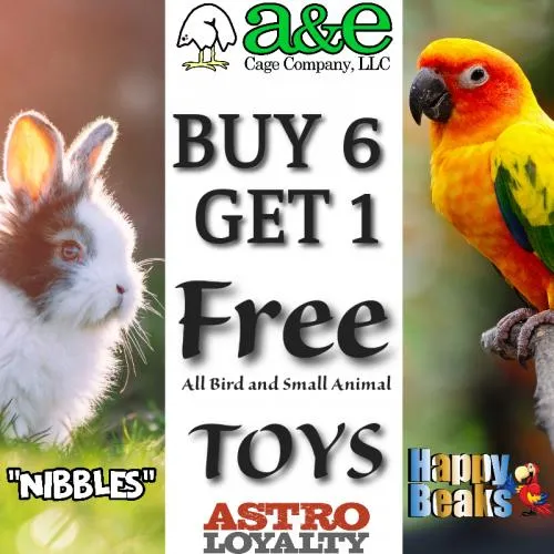 Promotion Image