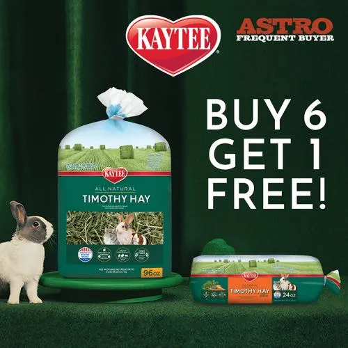 Promotion Image