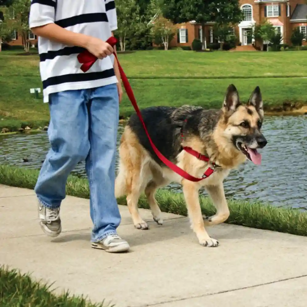 Easy Walk Harness, No Pull Dog Harness Medium Black