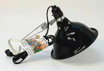 Clamp Lamp Economy With Dome 8.5"