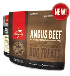 Orijen Black Angus Beef Freeze Dried Treat 2 Oz