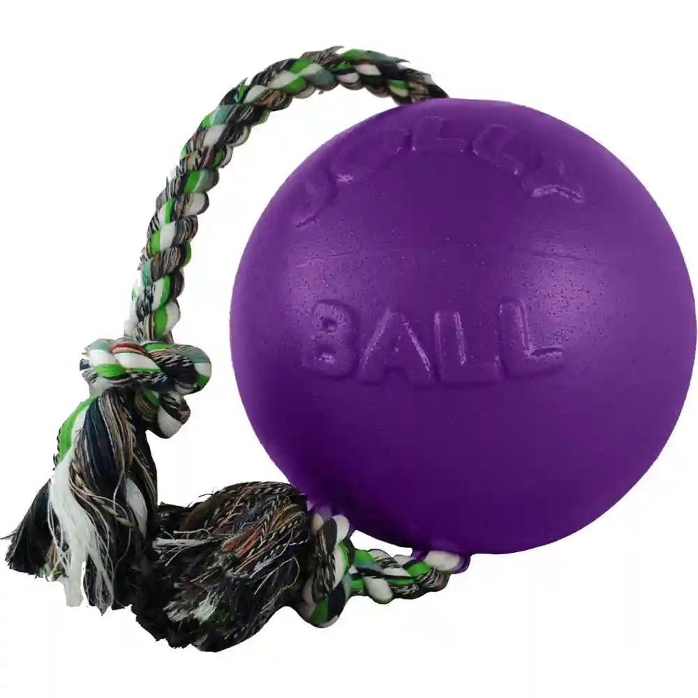 Jolly Ball Romp-n-Roll Purple 8"