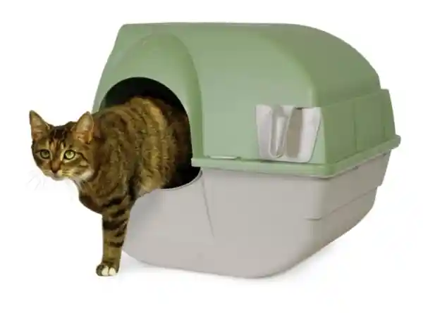 Litter Box Self Cleaning