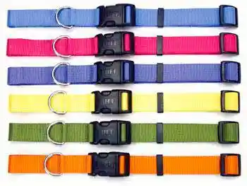 Adjustable Dog Collar With Plastic Buckle, Blue Lagoon, 3/4" X 14"-20"
