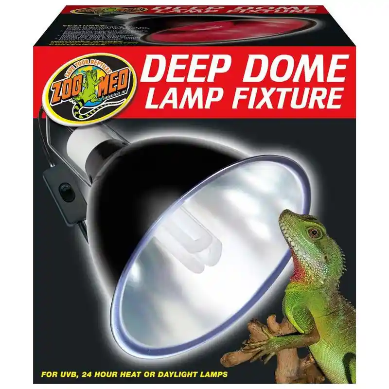 Zoomed Deep Dome Lamp Fixture