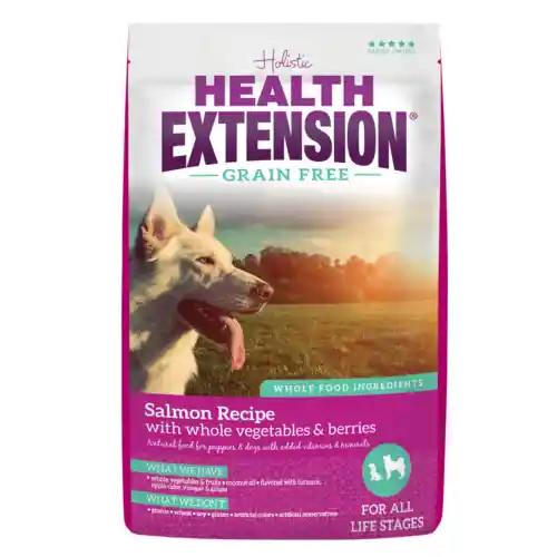 Grain Free Salmon Recipe Dry Dog Food 23.5-lb