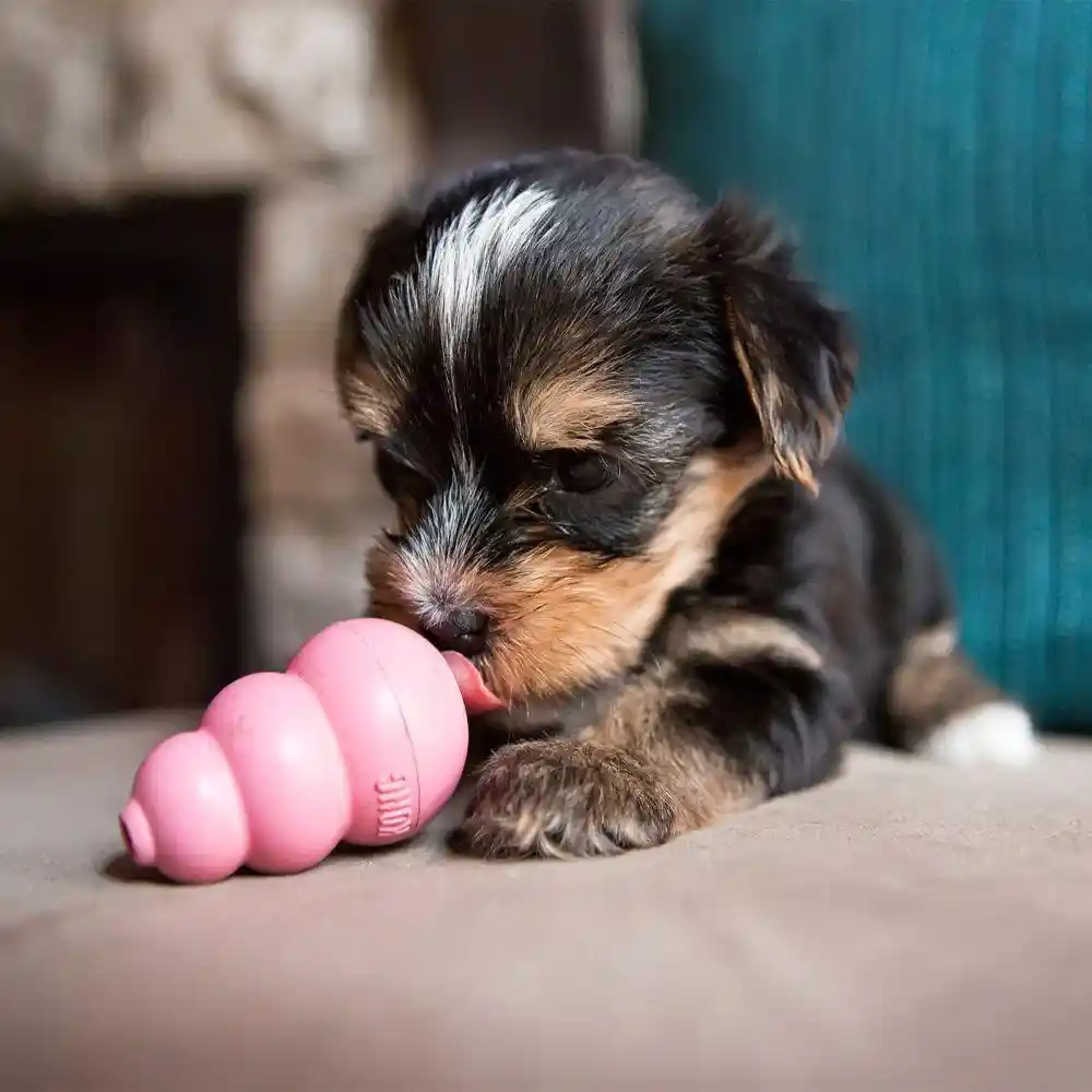 Classic Puppy Dog Toy Medium