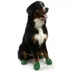 Waterproof Dog Boots, Dark Green, 12 Count X-large