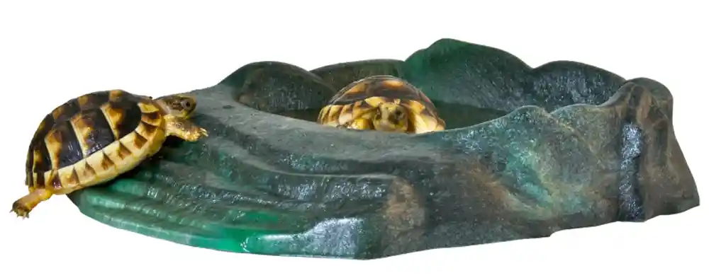 Zoomed Repti Ramp Bowl Large