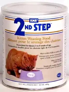 Kitten Wearing Formula 14 Oz