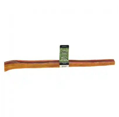 Redbarn Braided Bully Stick 12"
