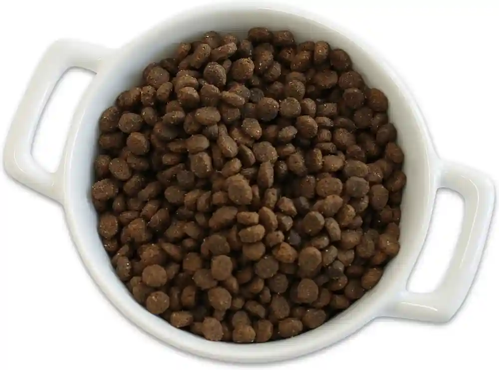 Lil' Plates Grain Free Small Breed Real Salmon & Sweet Potato Recipe Dry Dog Food 4-lb Test
