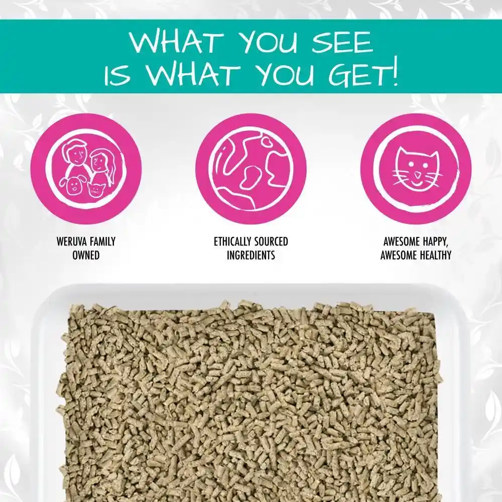 "it's A Tea Potty!" Hinoki Wood & Green Tea Cat Litter 11.7-lb