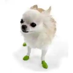 Waterproof Dog Boots, Light Green, 12 Count Tiny