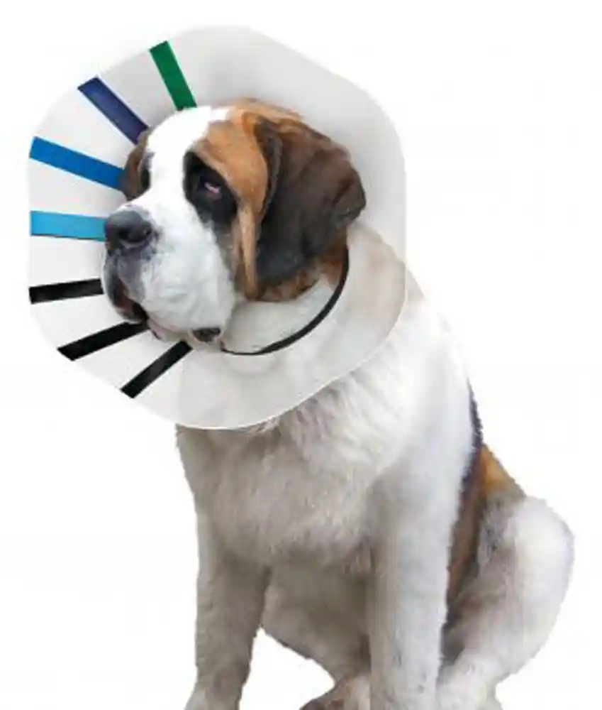 Kong E-collar King-assorted Colors
