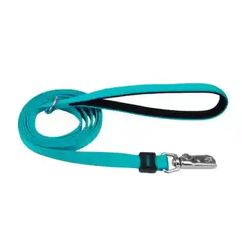 Leash, Aqua, 5/8" X 06'