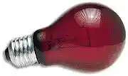 Nitelight Red 40 Watt Incandescent Bulb