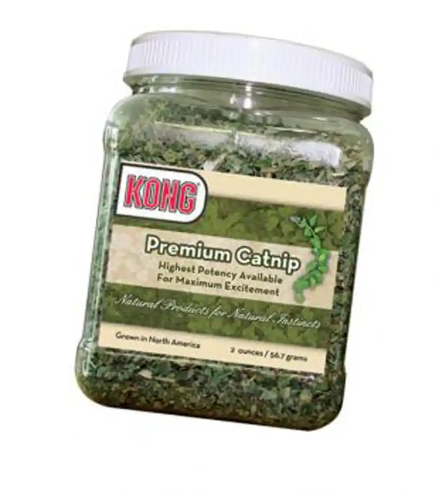 Kong Catnip Premium 2 oz