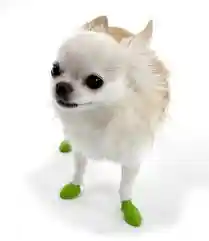 Waterproof Dog Boots, Light Green, 12 Count Tiny
