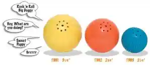 Talking Babble Ball Medium