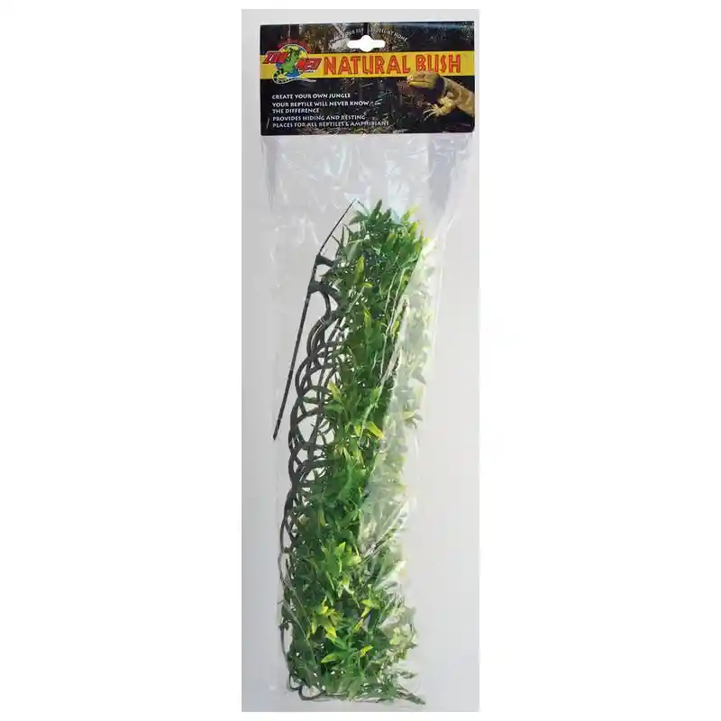 Natural Bush Bolivia Croton Large