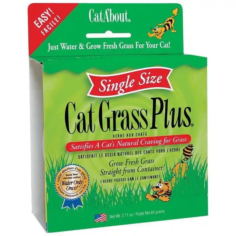 Cat Grass 150 Gm Tub