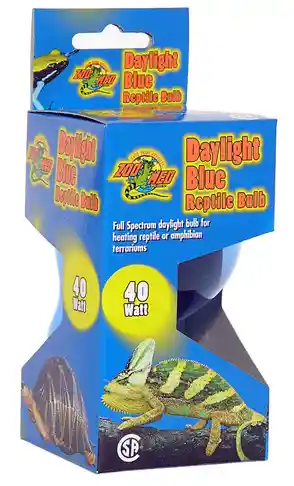 Daylight-blue 40 Watt Incandescent Bulb