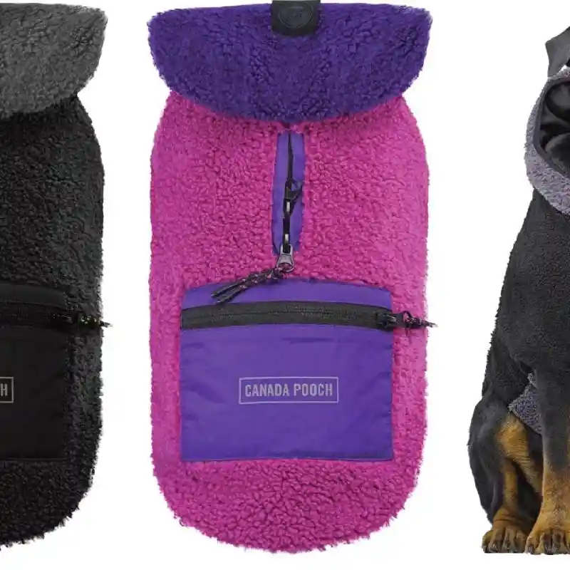 Canada Pooch Cool Factor Hoodie Pink 10"