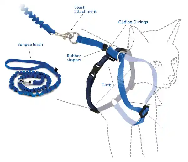 Harness & Bungee Leash Small Red