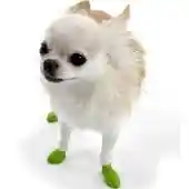 Waterproof Dog Boots, Light Green, 12 Count Tiny