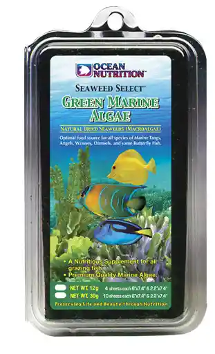 Green Marine Algae 4 Sheets 12 Gm