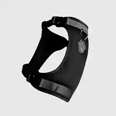 Xl. Everything Harness - Black;