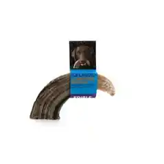 Icelandic Plus Lamb Horns 12 Large Bulk;
