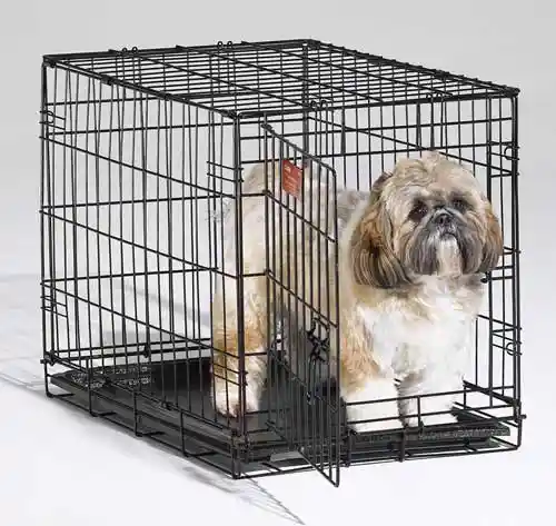 I-crate Single Door Folding Dog Crate 24"x18"x19"