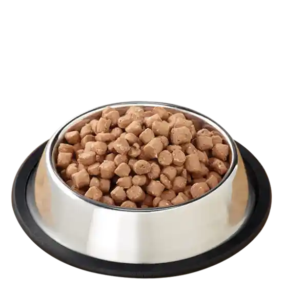 Pronto Raw Pork Frozen Dog Food 4-lb