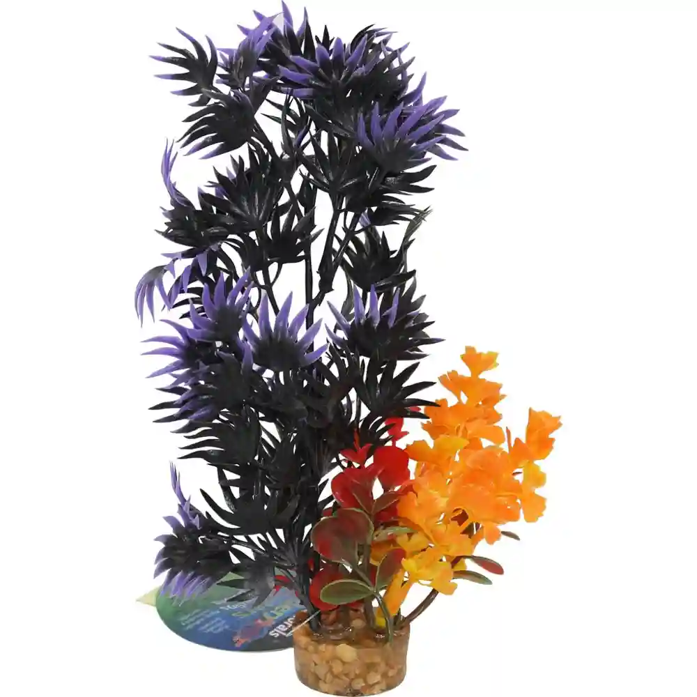 Gravel Base Plant Large Bush Plant Black Purple