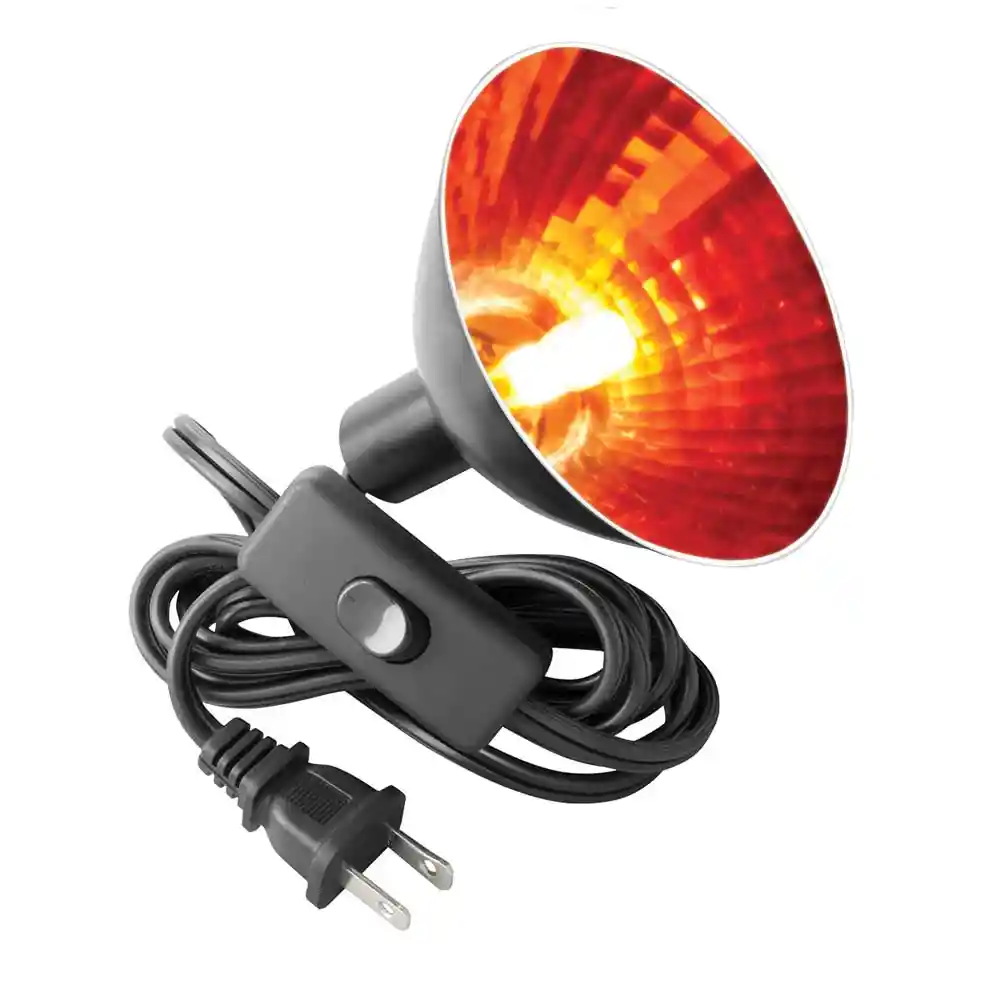 Zilla Mini Halogen Lamp Red 25 Watt