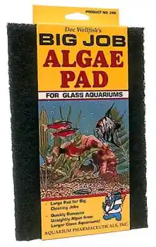 Algae Scraper Pad
