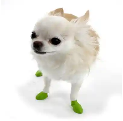 Waterproof Dog Boots, Light Green, 12 Count Tiny