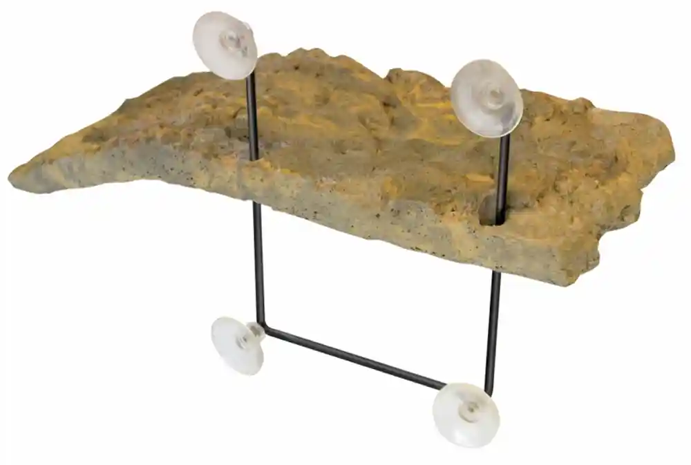 Zoomed Turtle Dock Small 11x5"