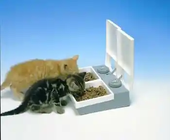Animate Feeder 2 Bowl Automatic