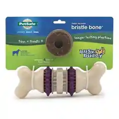 Busy Buddy Bristle Bone Large