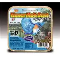 Suet Never Melt Insect 13 Oz